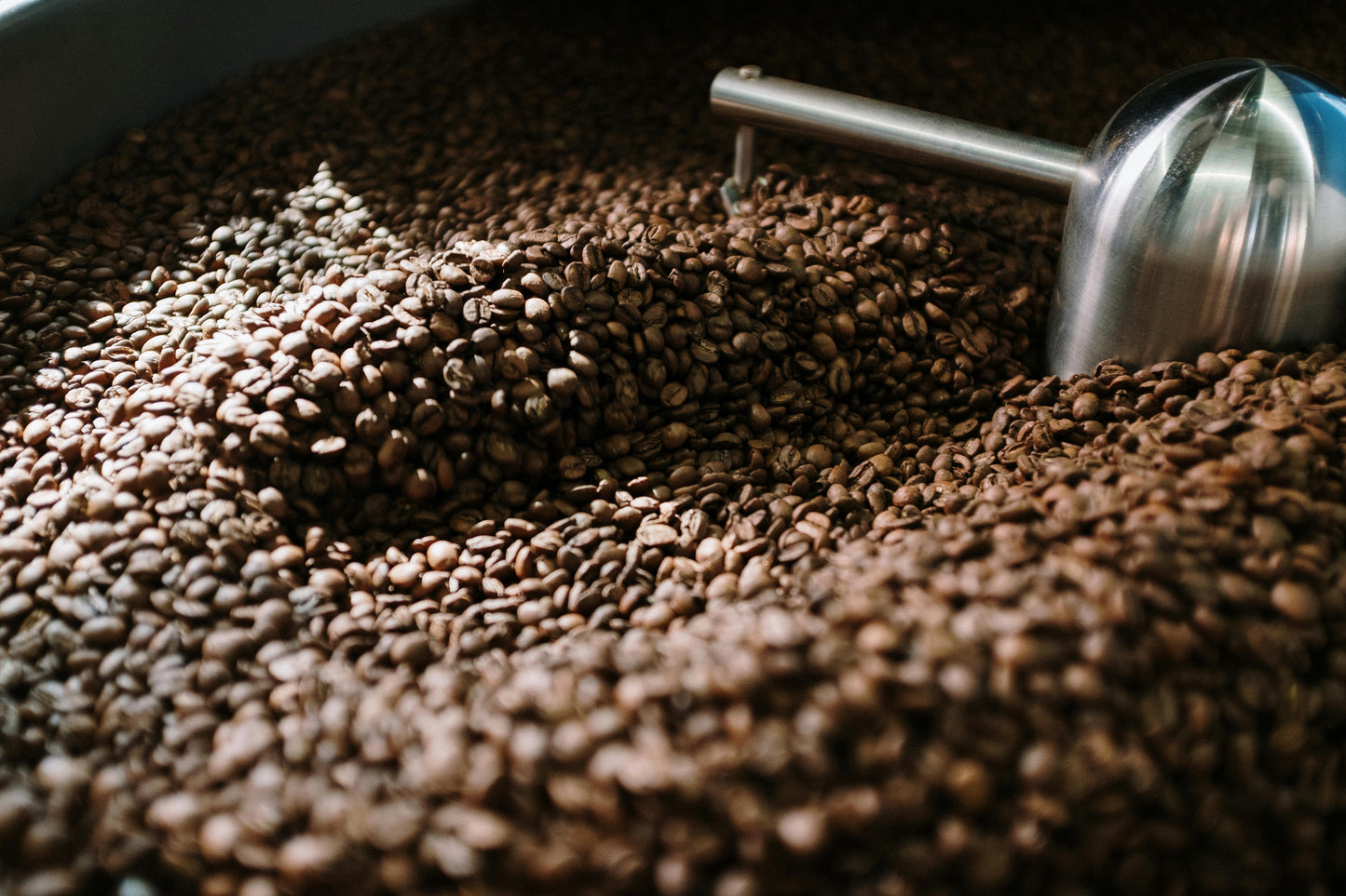 coffee beans cooling beans